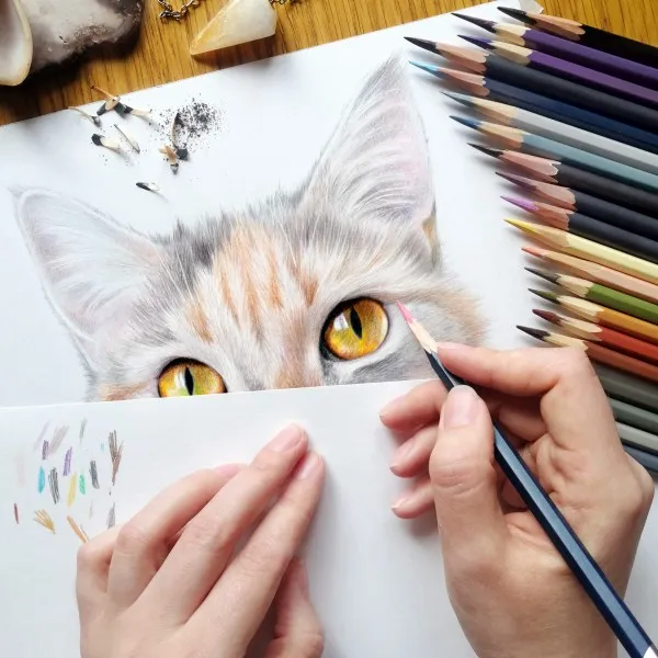 Mastering the Art Techniques and Comparisons of Colored Pencils